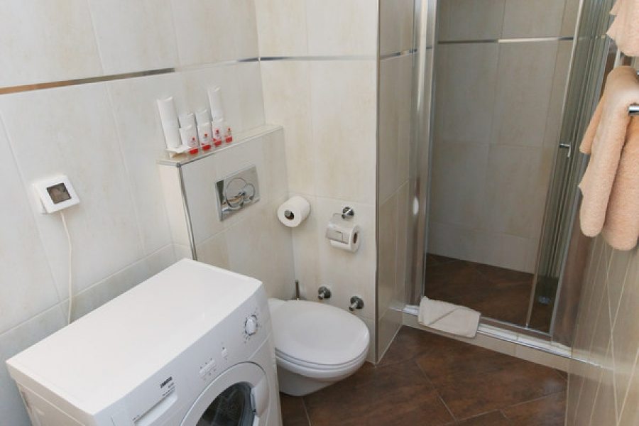 Bathroom with shower in the studio apartment