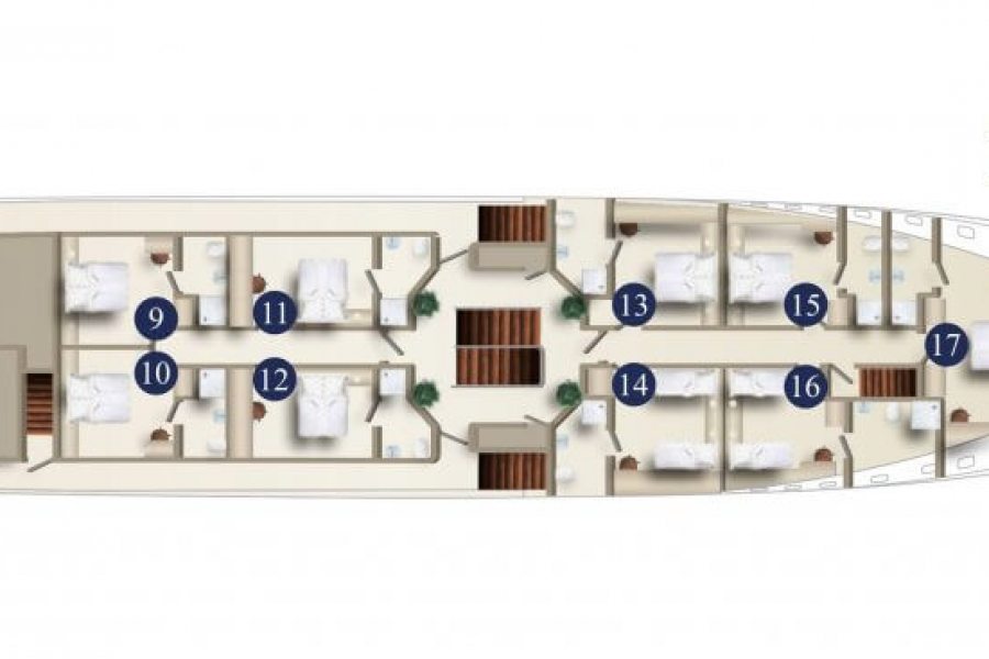 Layout of the main deck