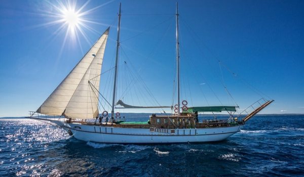 3 cabins - discounted price - Gulet Alisa